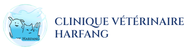 Logo Clinique Veterinaire Harfang