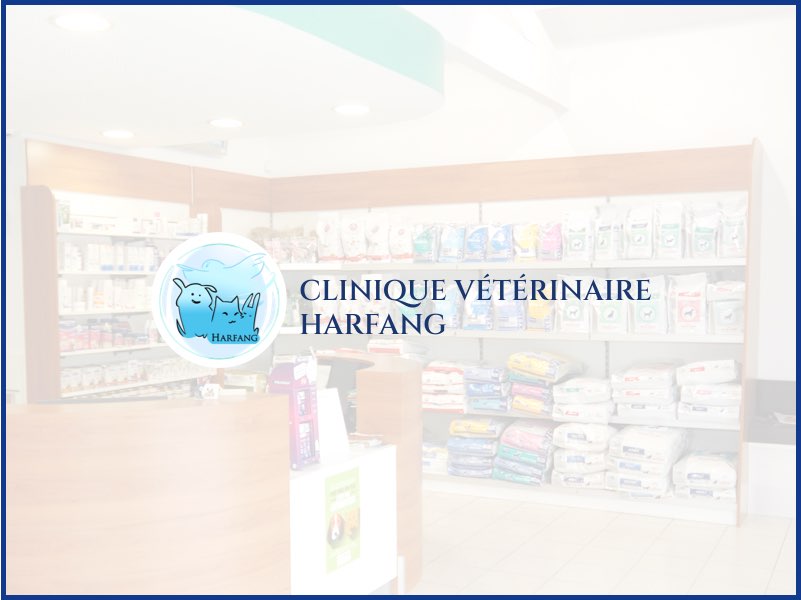 Docteur Loïc DEVAUX