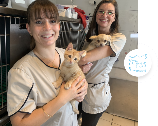équipe de la clinique vétérinaire Harfang à Castanet-Tolosan