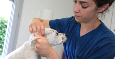 Médecine générale & préventive